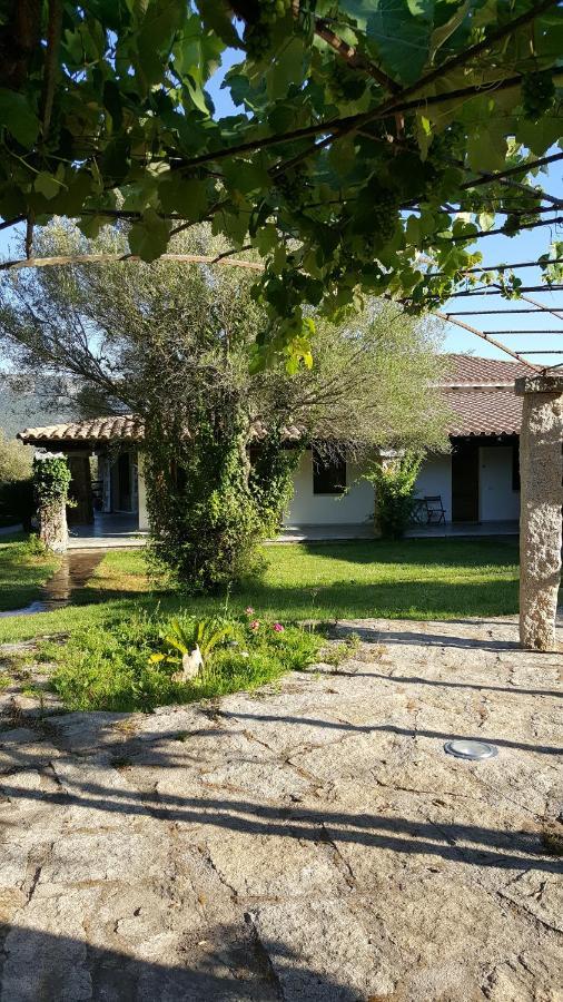 Agriturismo Desole Monti ภายนอก รูปภาพ