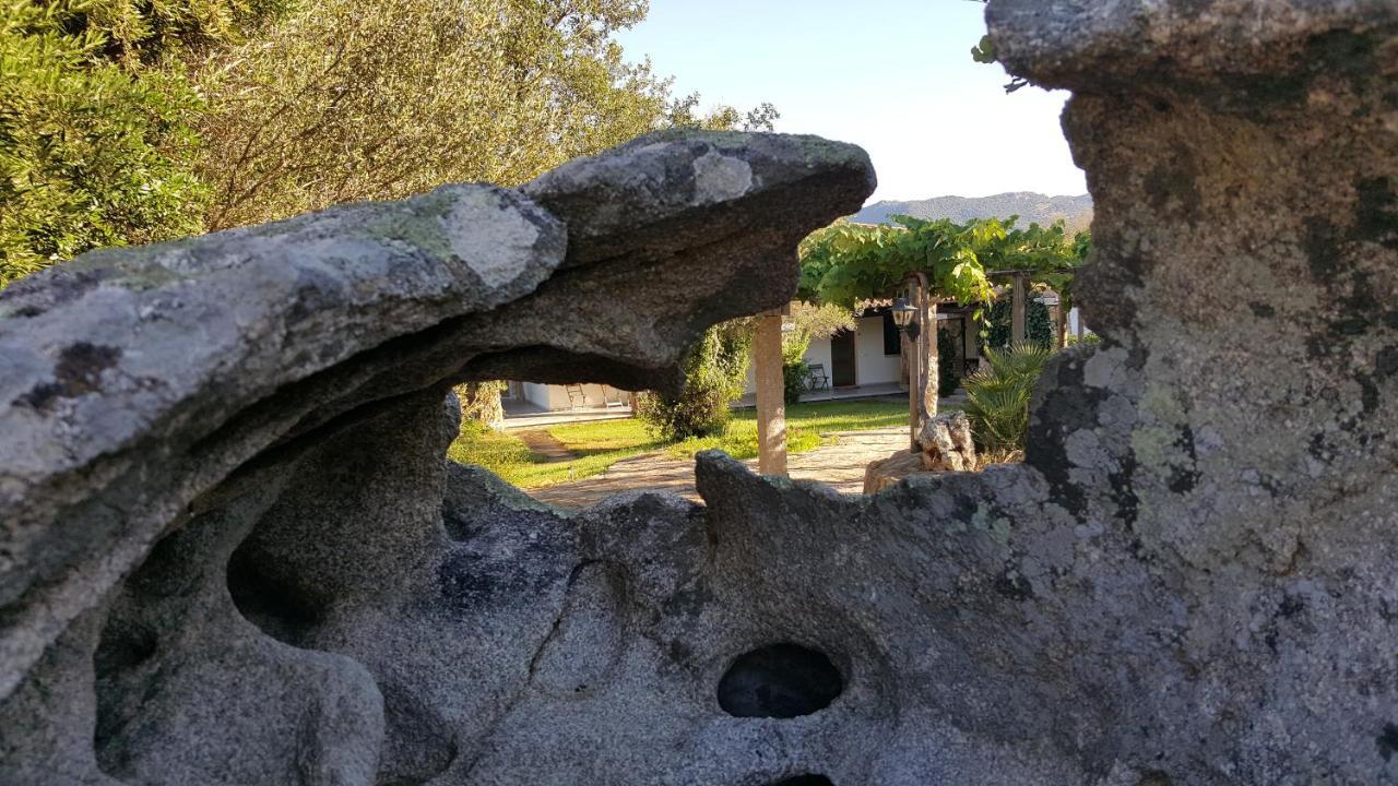 Agriturismo Desole Monti ภายนอก รูปภาพ
