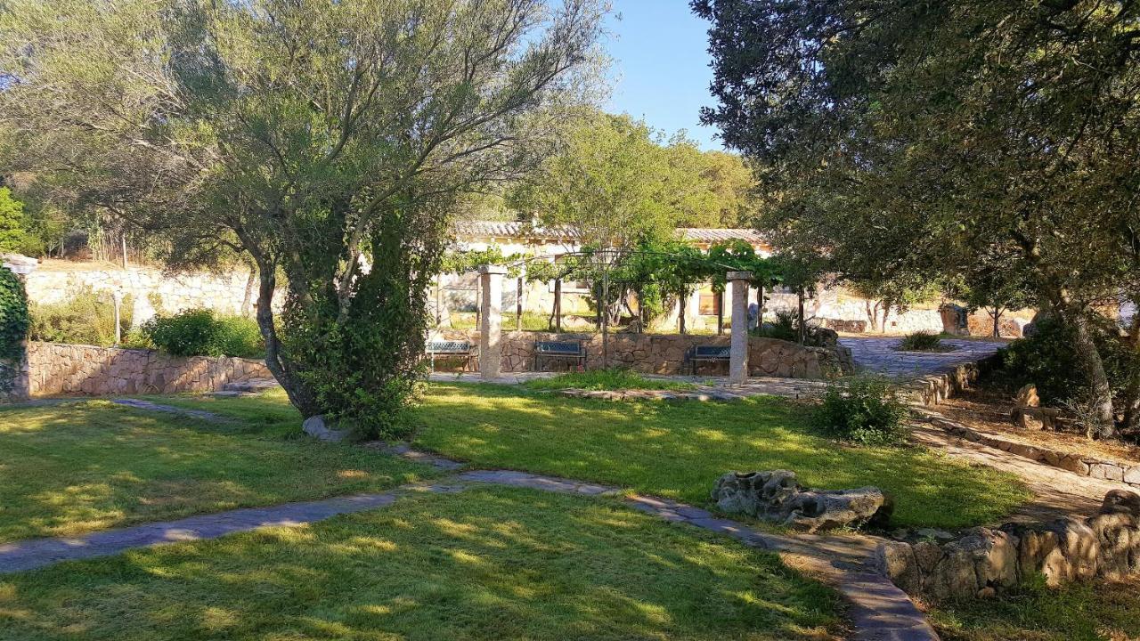 Agriturismo Desole Monti ภายนอก รูปภาพ