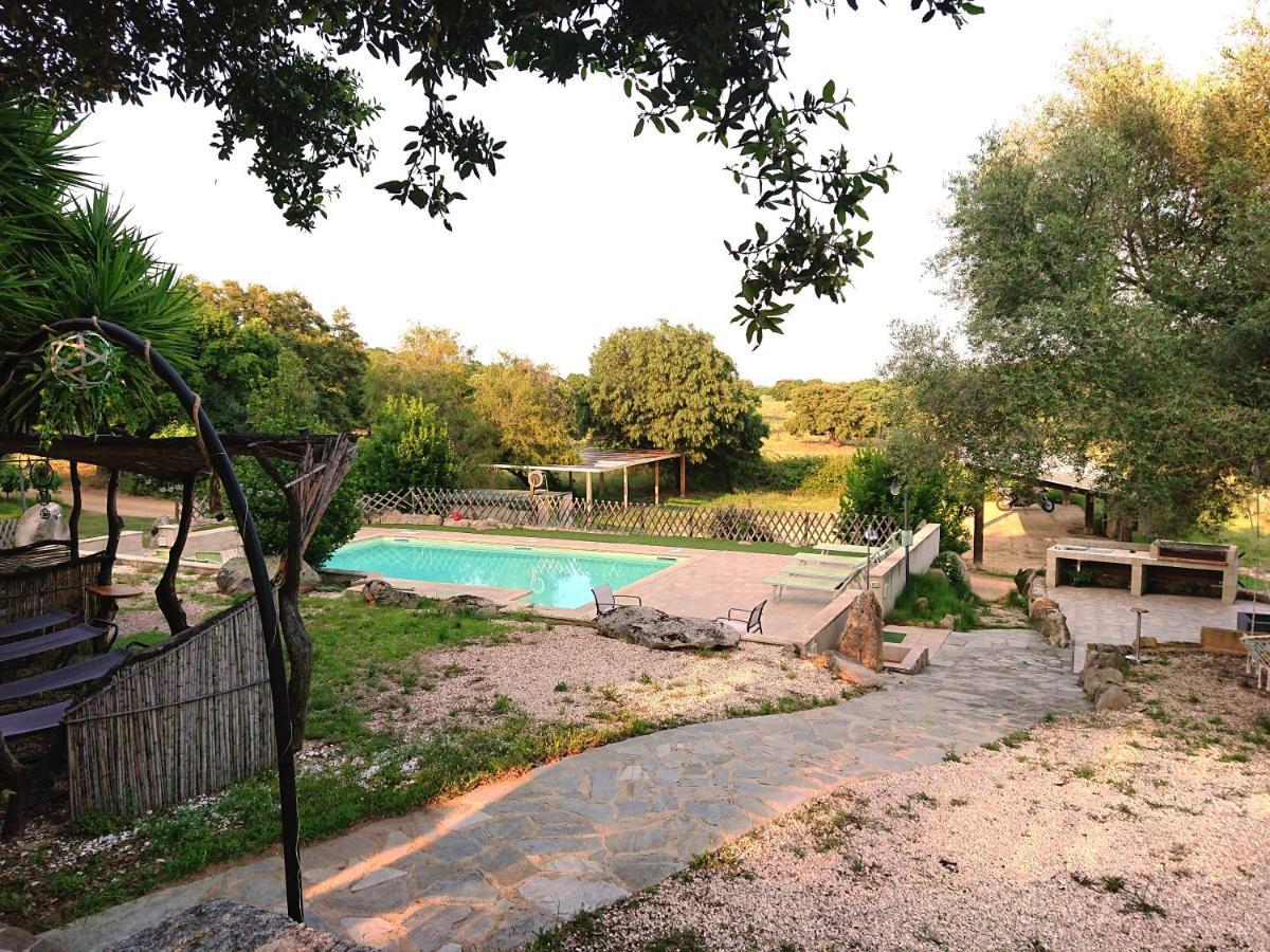 Agriturismo Desole Monti ภายนอก รูปภาพ
