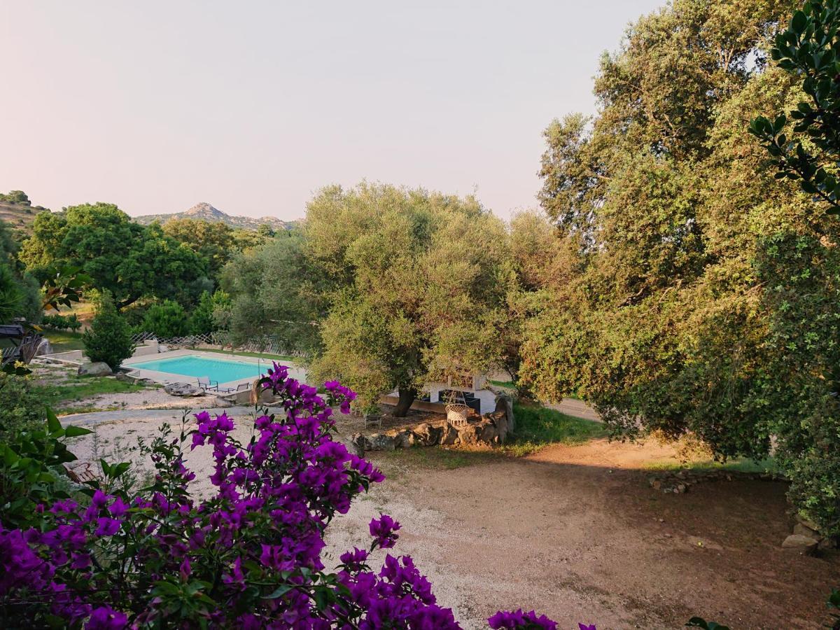 Agriturismo Desole Monti ภายนอก รูปภาพ