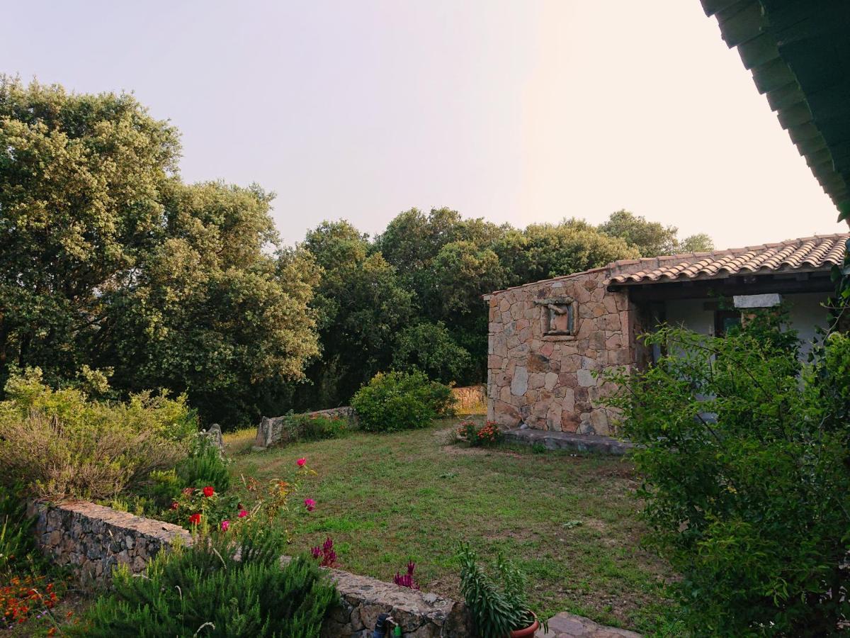 Agriturismo Desole Monti ภายนอก รูปภาพ