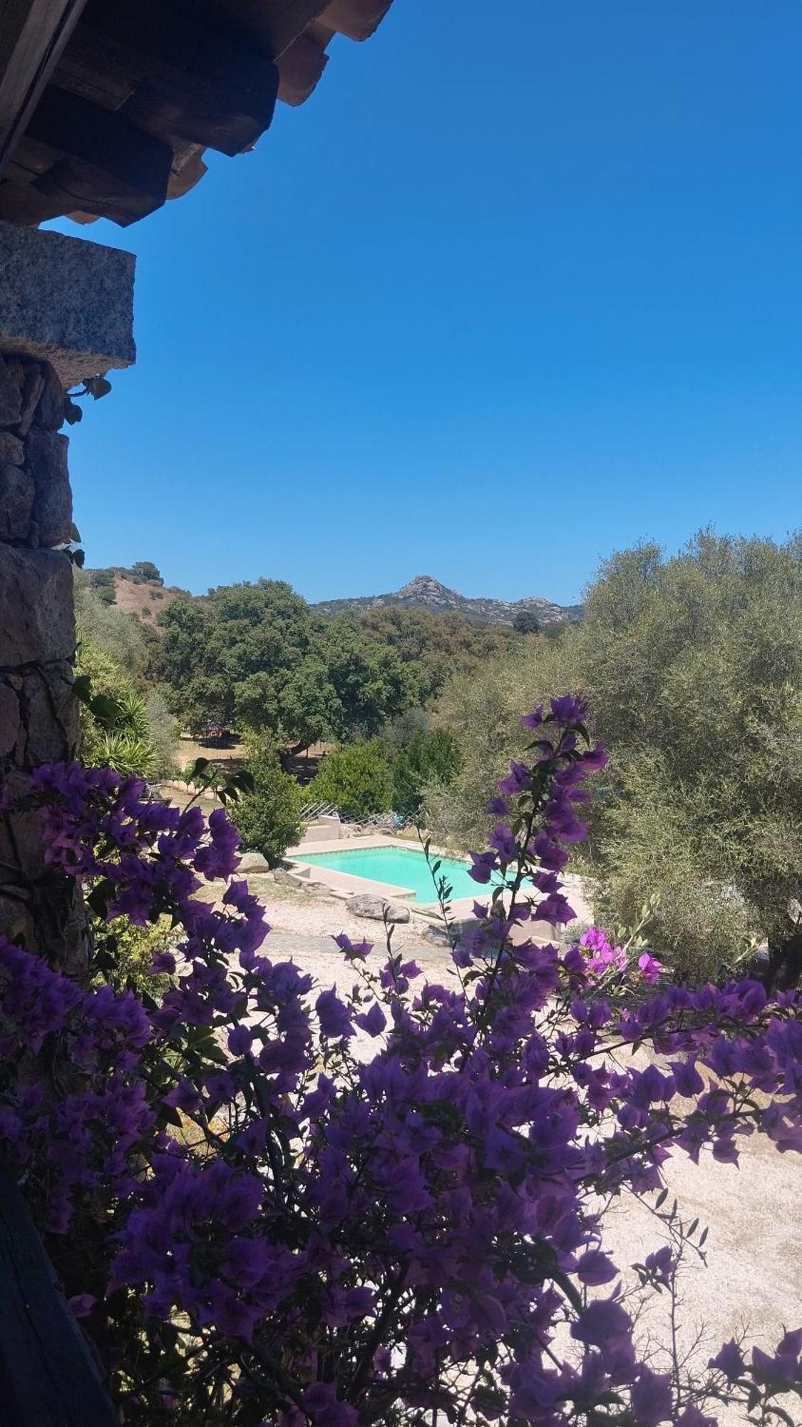 Agriturismo Desole Monti ภายนอก รูปภาพ