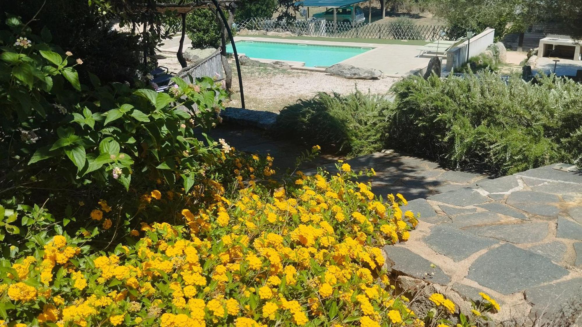 Agriturismo Desole Monti ภายนอก รูปภาพ
